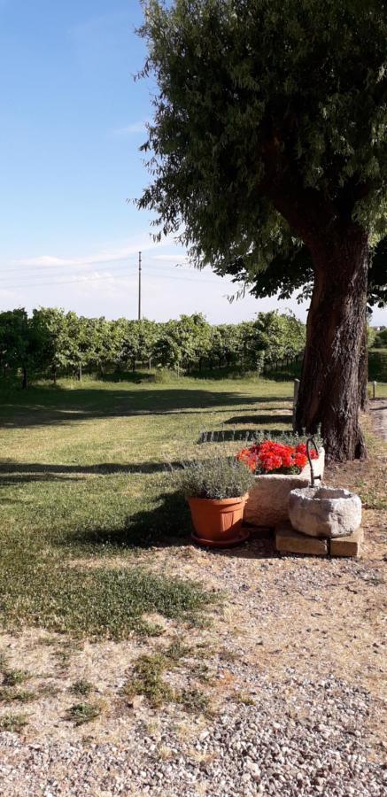 Agriturismo Vitae Fabbrico Esterno foto