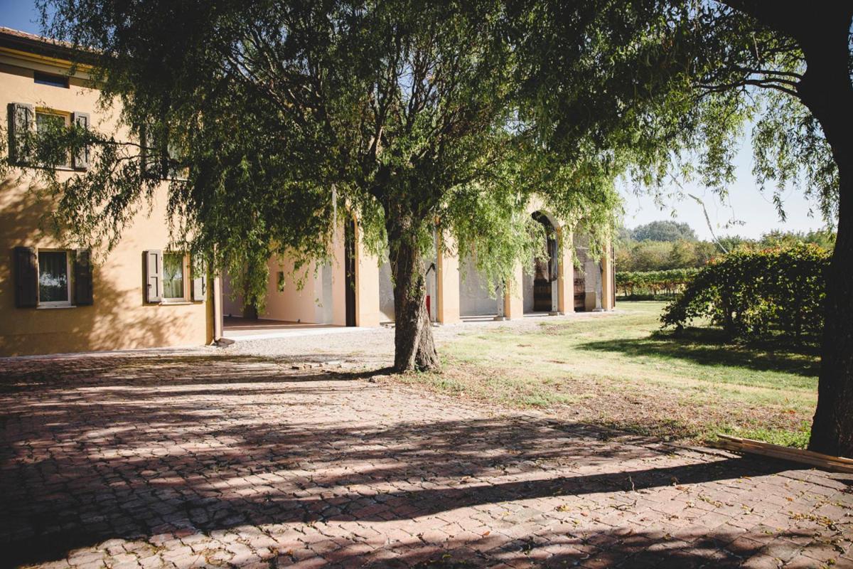 Agriturismo Vitae Fabbrico Esterno foto