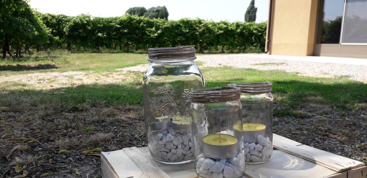 Agriturismo Vitae Fabbrico Esterno foto