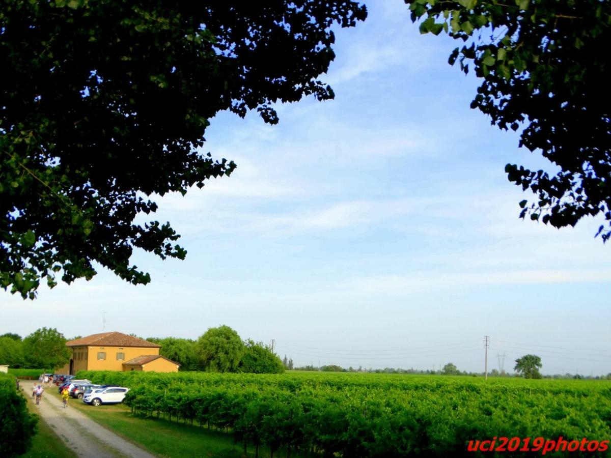 Agriturismo Vitae Fabbrico Esterno foto